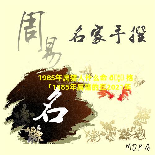 1985年属猪人什么命 🦈 格「1985年属猪的在2021年好不好」